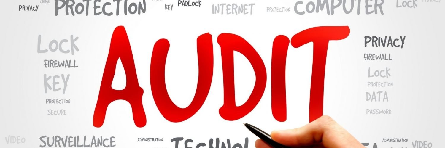Startup Audit